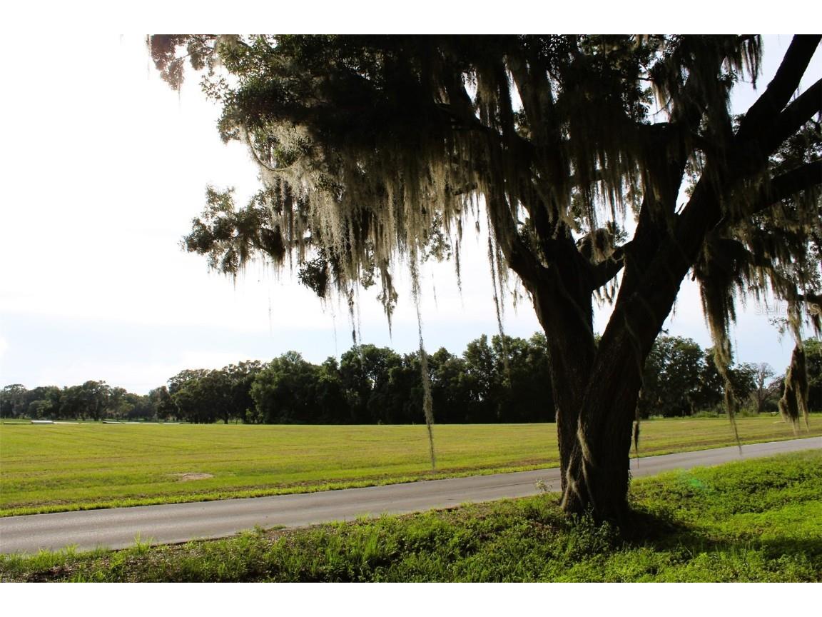 Cross Country Boulevard Altoona FL 32702 G5098617 image1