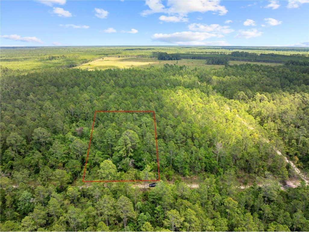 Crotty Avenue Hastings FL 32145 O6312348 image10