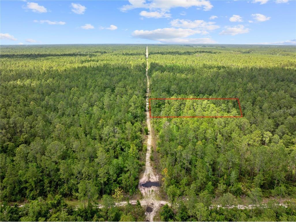 Crotty Avenue Hastings FL 32145 O6312348 image11