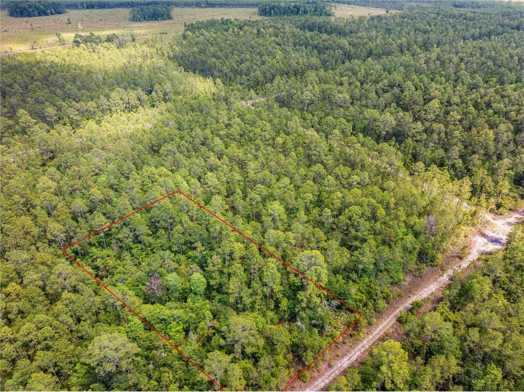 Crotty Avenue Hastings FL 32145 O6312348 image12