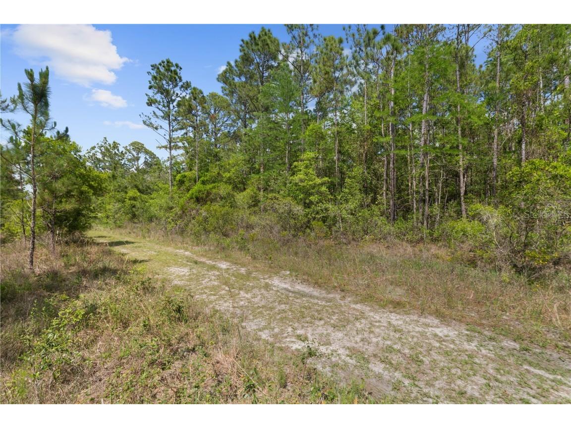 Crotty Avenue Hastings FL 32145 O6312348 image3