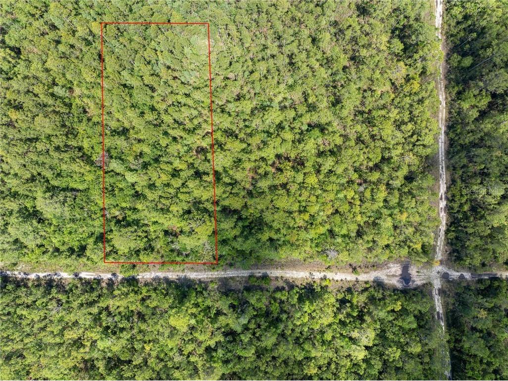 Crotty Avenue Hastings FL 32145 O6312348 image4