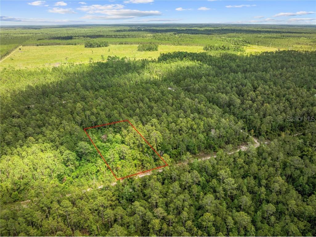 Crotty Avenue Hastings FL 32145 O6312348 image5