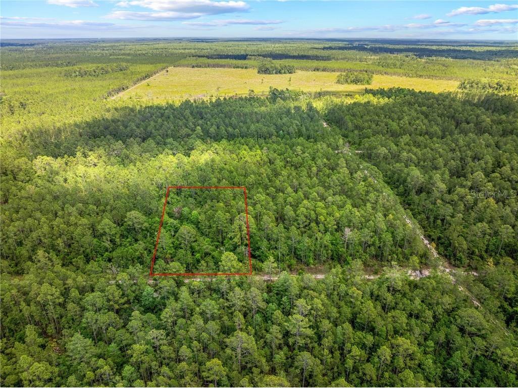 Crotty Avenue Hastings FL 32145 O6312348 image6