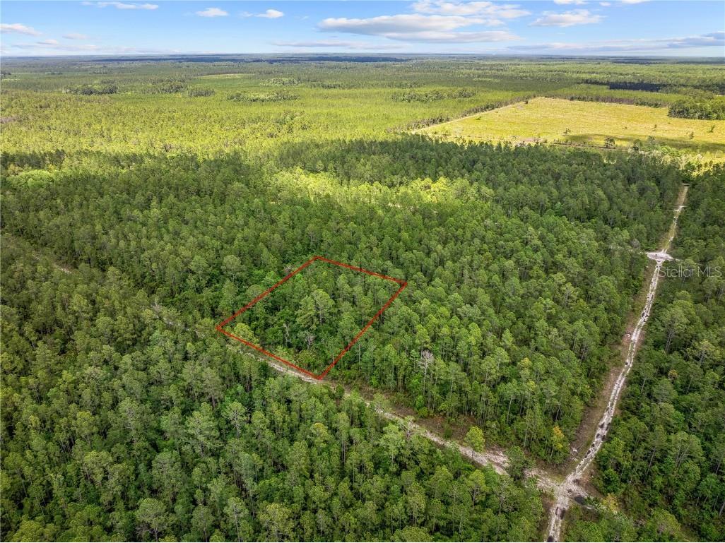 Crotty Avenue Hastings FL 32145 O6312348 image7