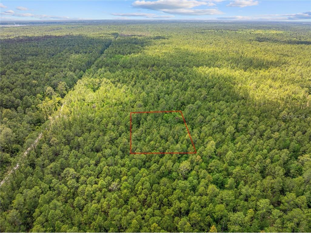 Crotty Avenue Hastings FL 32145 O6312348 image8