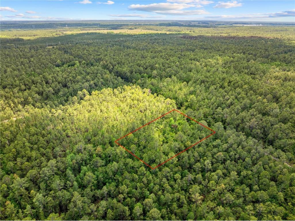 Crotty Avenue Hastings FL 32145 O6312348 image9