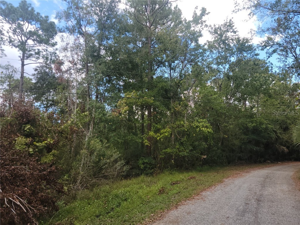 Crow Trail Kissimmee FL 34747 P4923261 image1