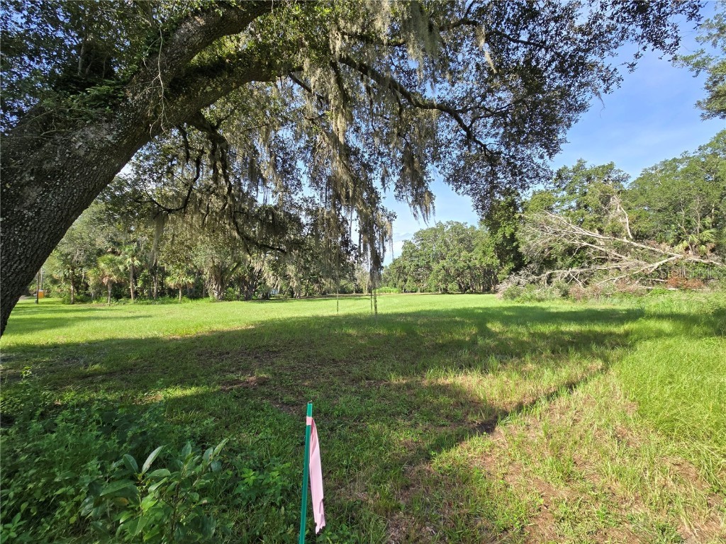 Crystal Lane Umatilla FL 32784 O6340112 image13