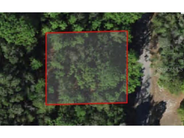  Crystal River FL 34428 OM679203 image1