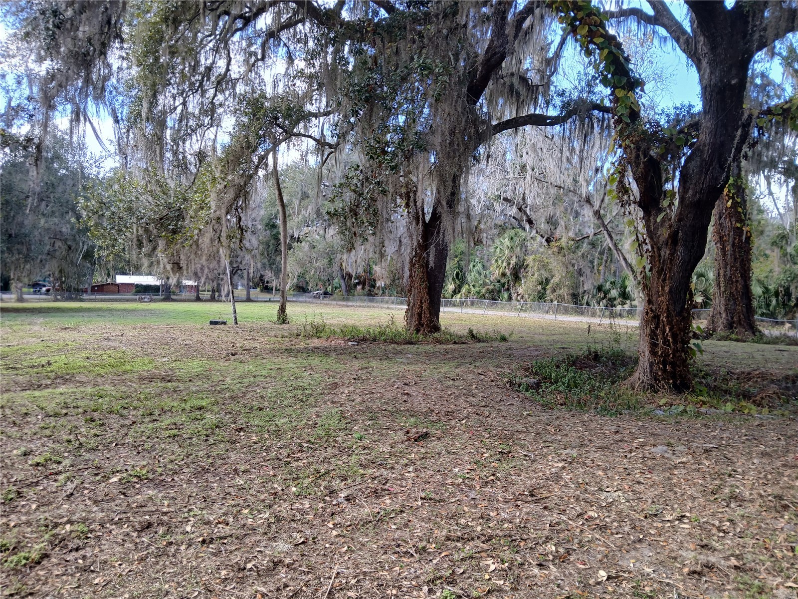 Cty Rd 434b Lake Panasoffkee FL 33538 G5106672 image4