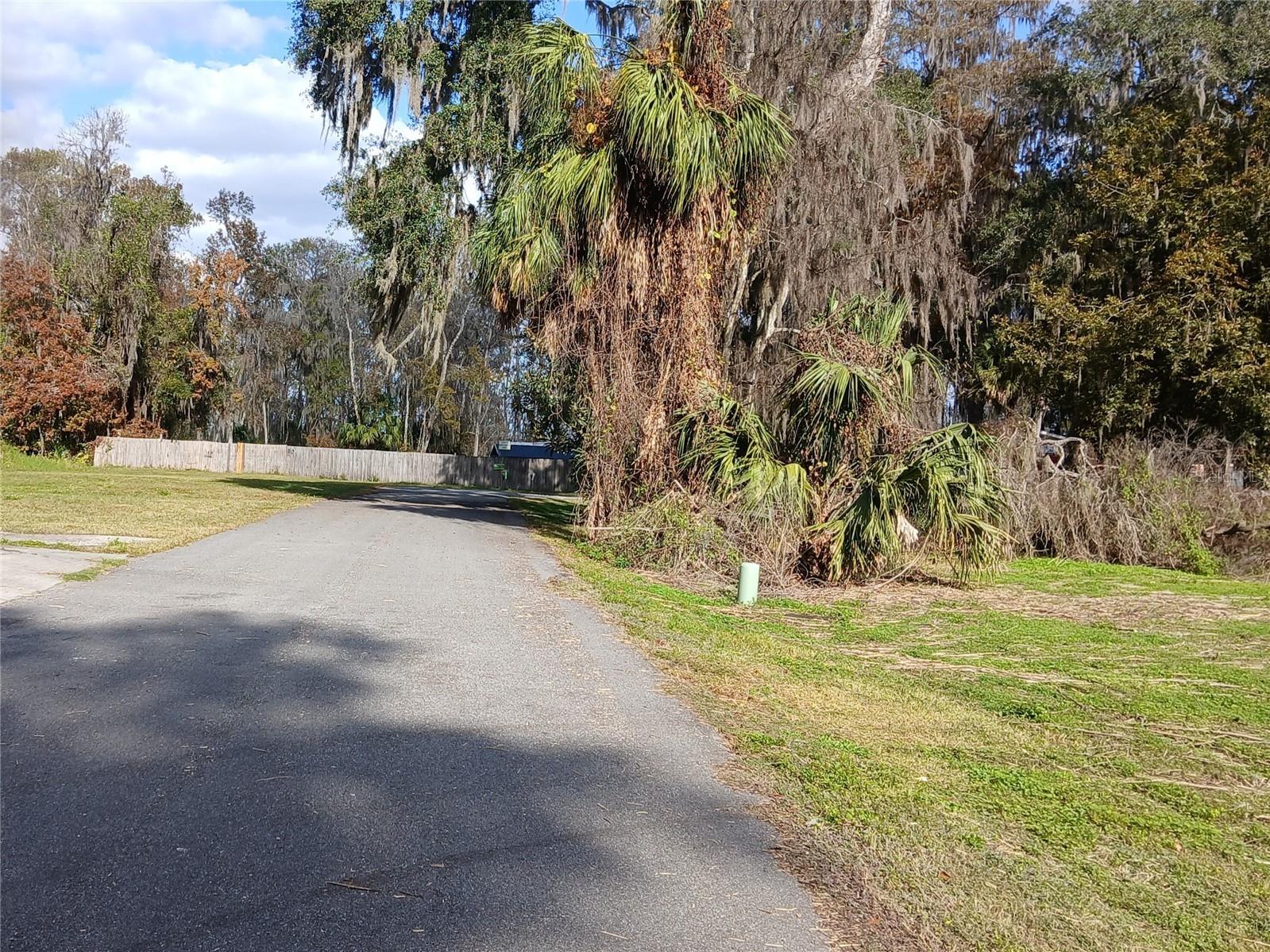 Cty Rd 434b Lake Panasoffkee FL 33538 G5106672 image7