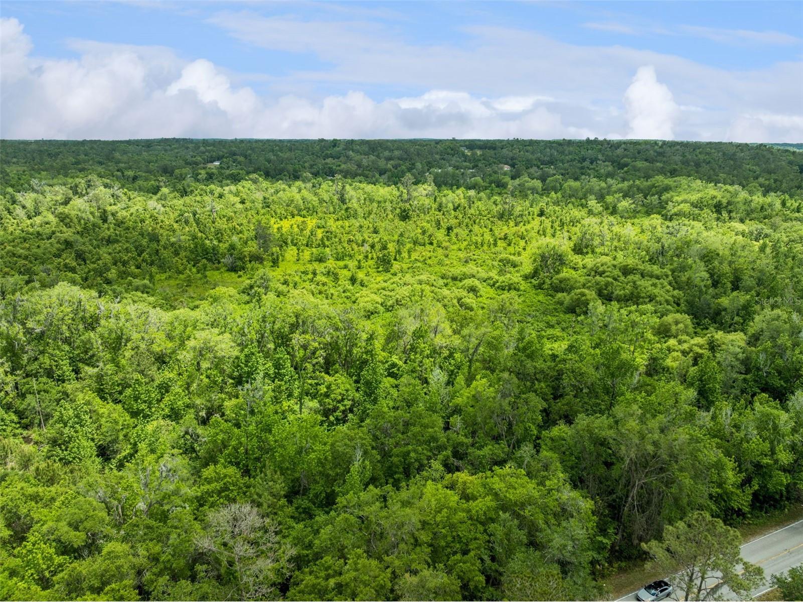 Culbreath Road Brooksville FL 34602 O6402743 image10
