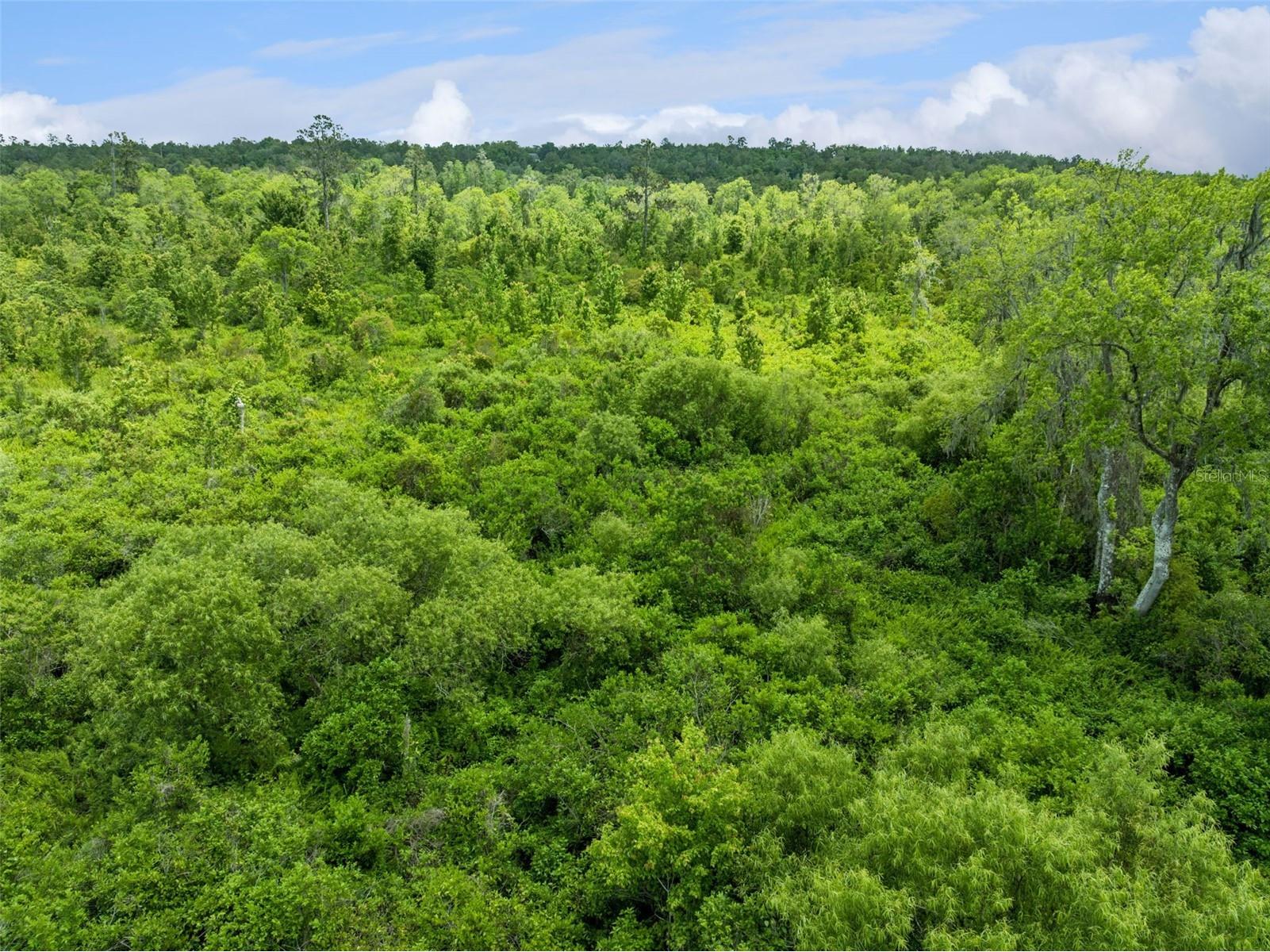 Culbreath Road Brooksville FL 34602 O6402743 image11
