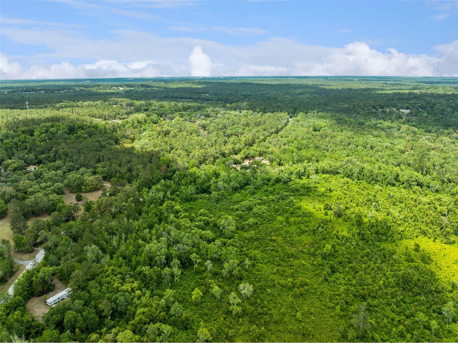 Culbreath Road Brooksville FL 34602 O6402743 image12