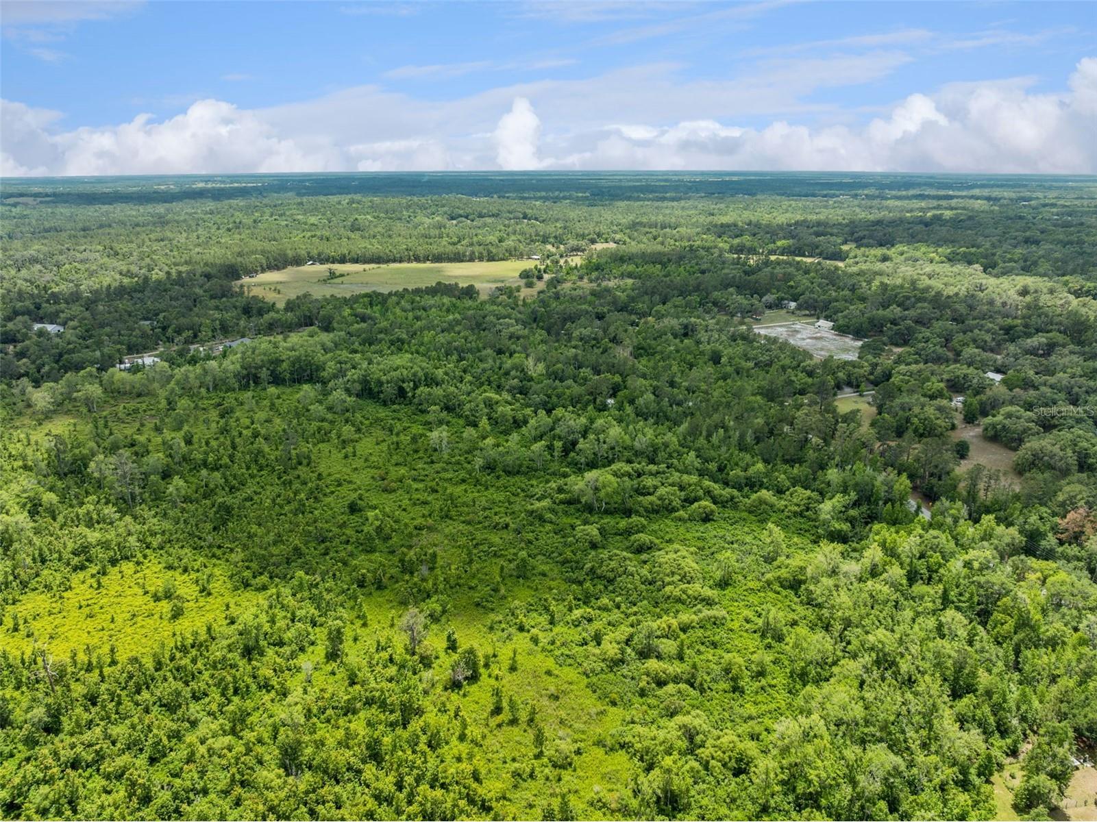Culbreath Road Brooksville FL 34602 O6402743 image15