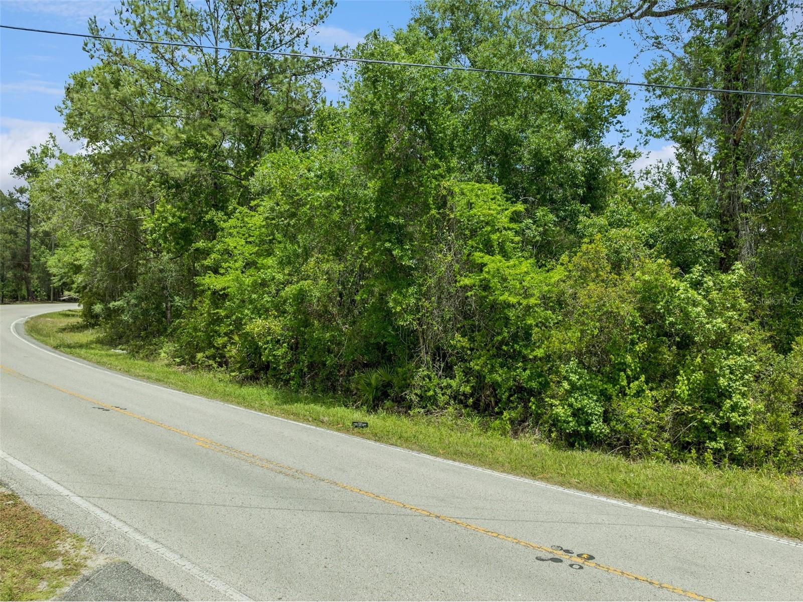 Culbreath Road Brooksville FL 34602 O6402743 image4