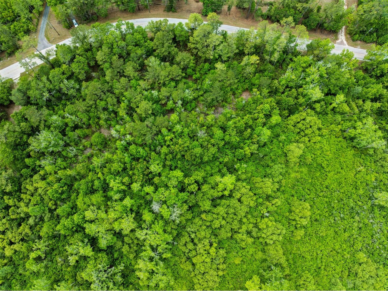 Culbreath Road Brooksville FL 34602 O6402743 image6