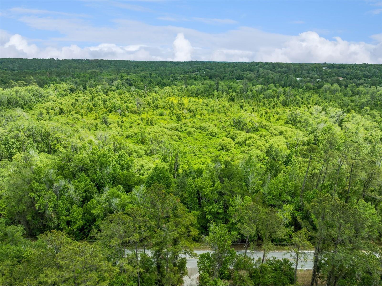 Culbreath Road Brooksville FL 34602 O6402743 image8