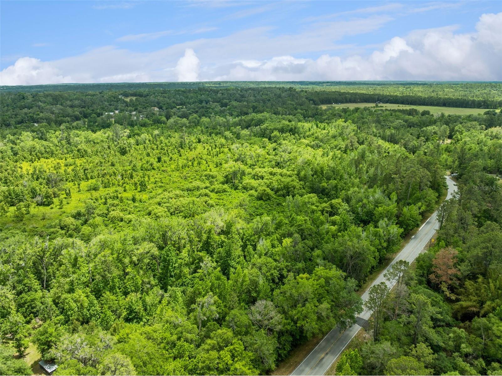 Culbreath Road Brooksville FL 34602 O6402743 image9