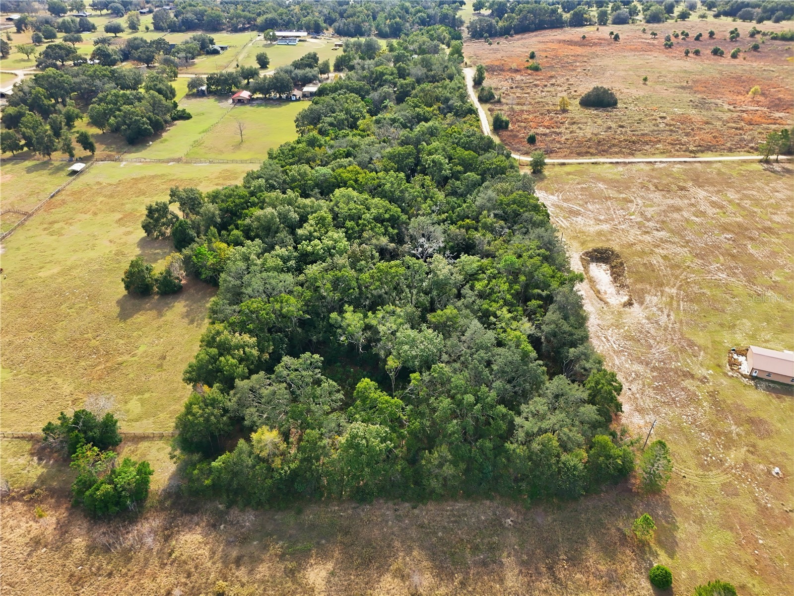 Curle Road Eustis FL 32736 G5113919 image2