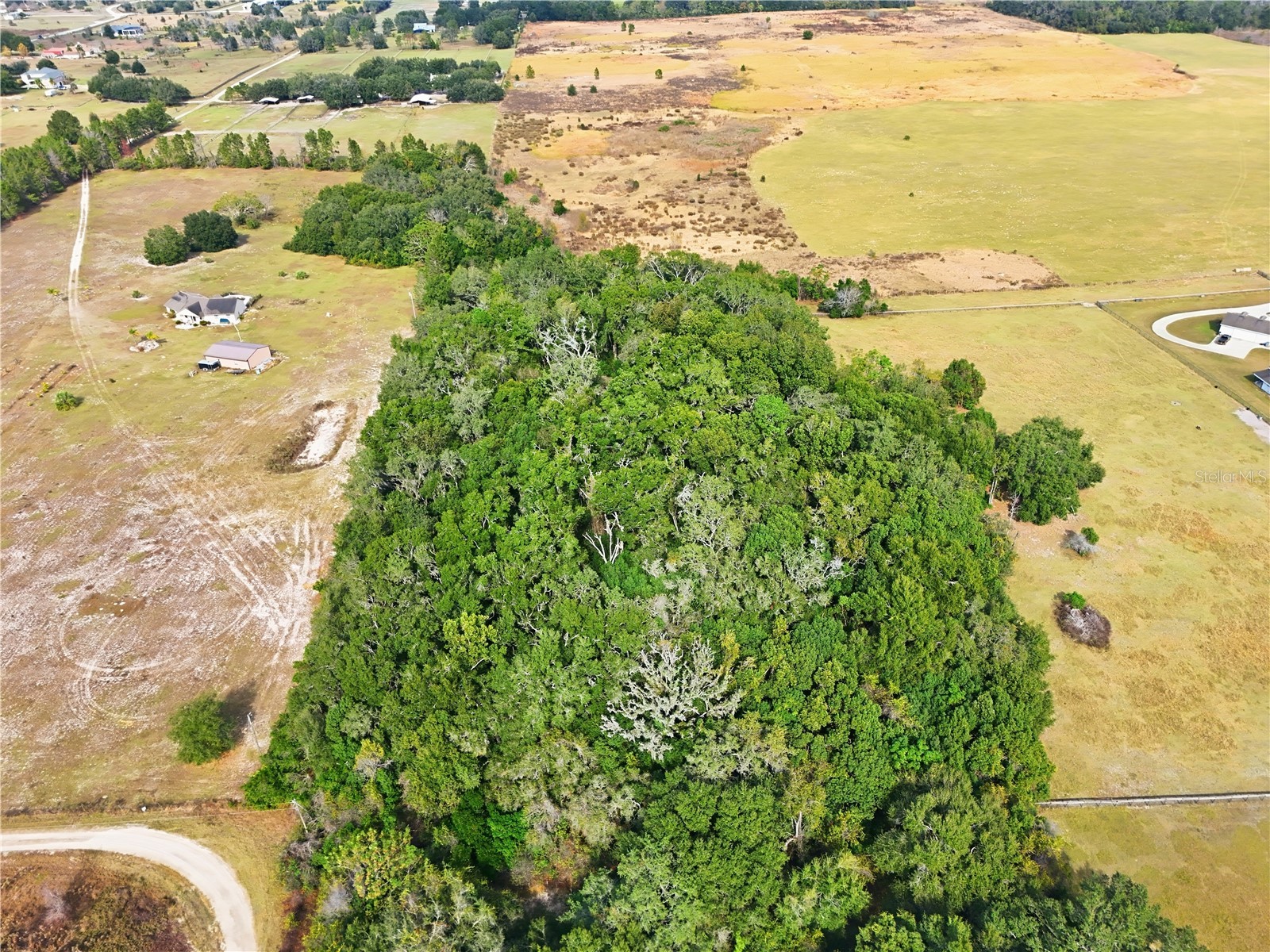 Curle Road Eustis FL 32736 G5113919 image5