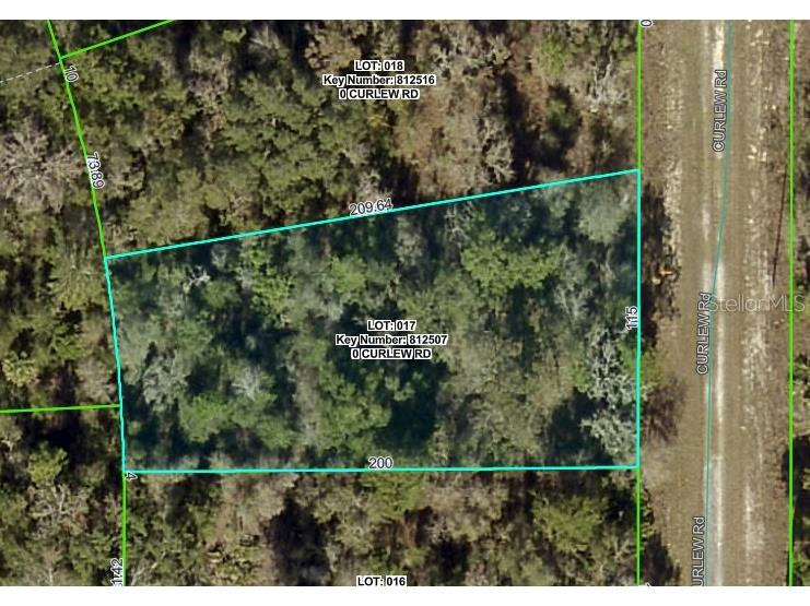 Curlew Road Brooksville FL 34614 W7879929 image1
