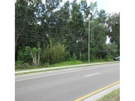 Curry Woods Drive Orlando FL 32822 O6180651 image1