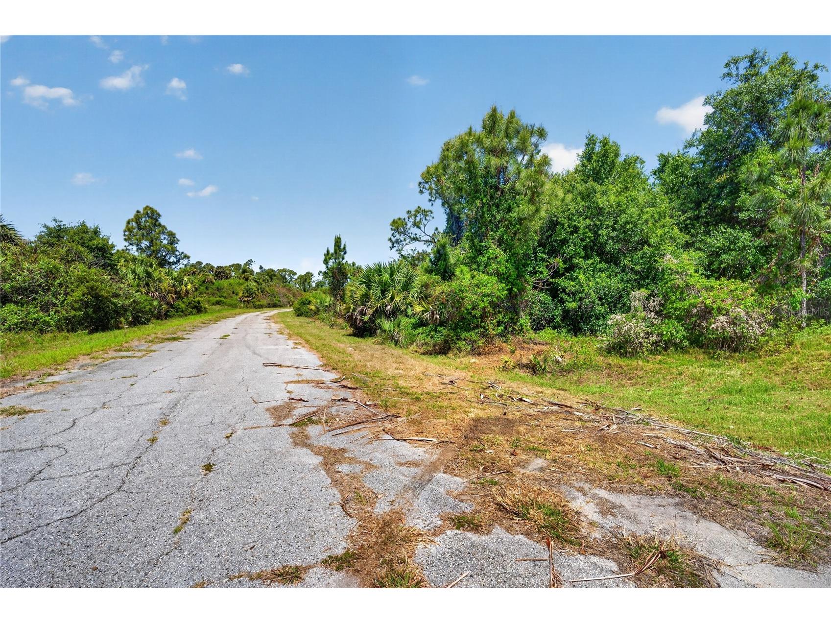 Custer Circle North Port FL 34288 A4690866 image3
