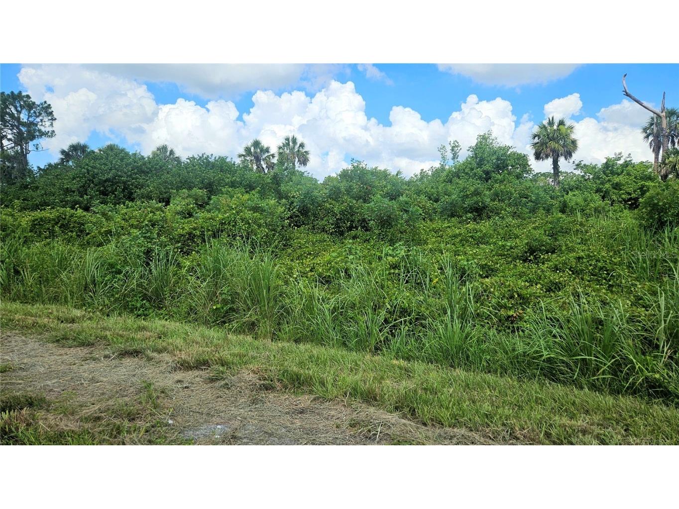 Custer Lot #25 Circle North Port FL 34288 C7512895 image2