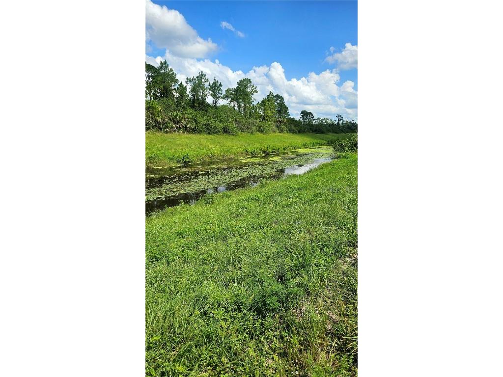 Custer Lot #25 Circle North Port FL 34288 C7512895 image3