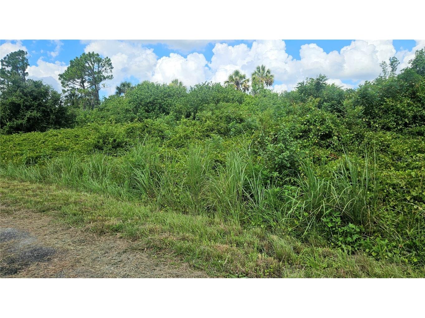Custer Lot #25 Circle North Port FL 34288 C7512895 image5