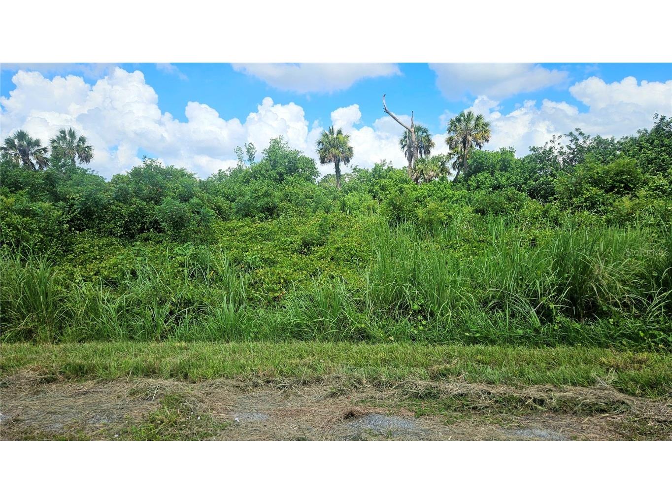 Custer Lot #25 Circle North Port FL 34288 C7512895 image6