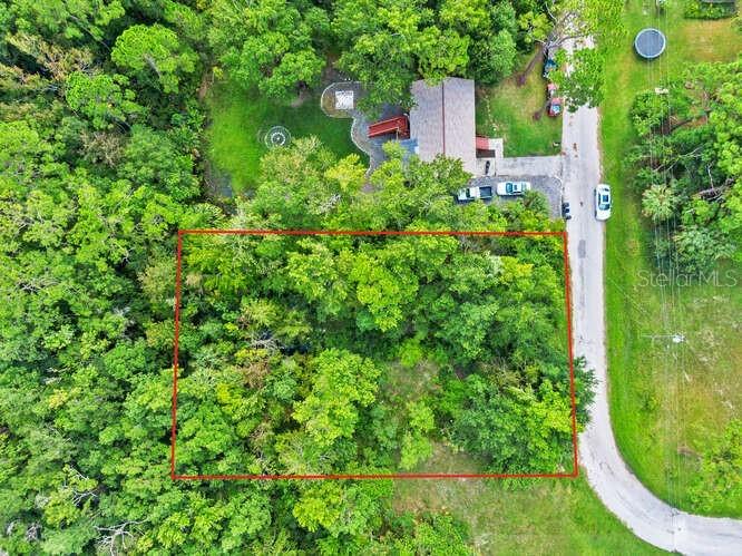 Cutlass Drive Hudson FL 34667 T3418980 image1