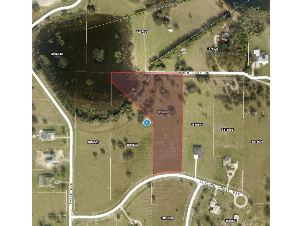 Cutting Horse Way Groveland FL 34736 O6369658 image1