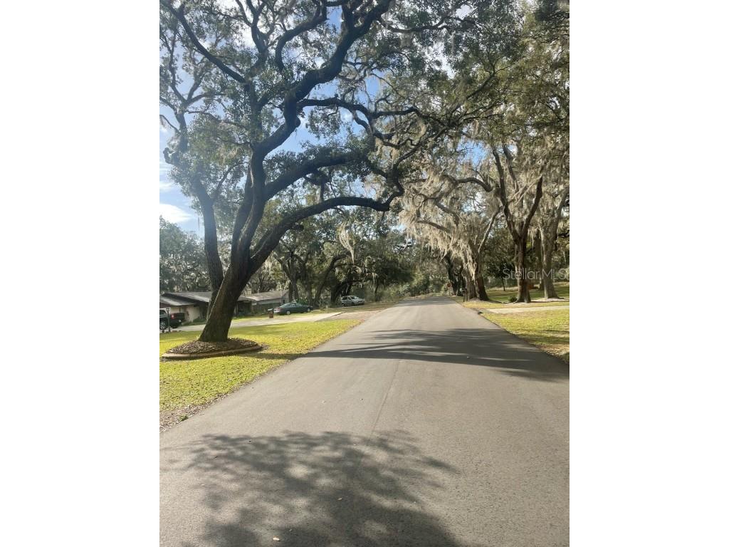 Cypress Haven Way Leesburg FL 34788 U8215200 image1