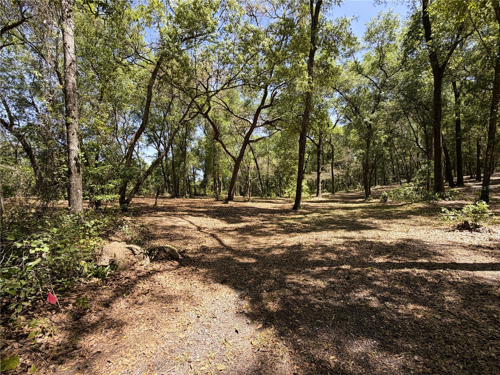 Cypress Street Keystone Heights FL 32656 GC539645 image1