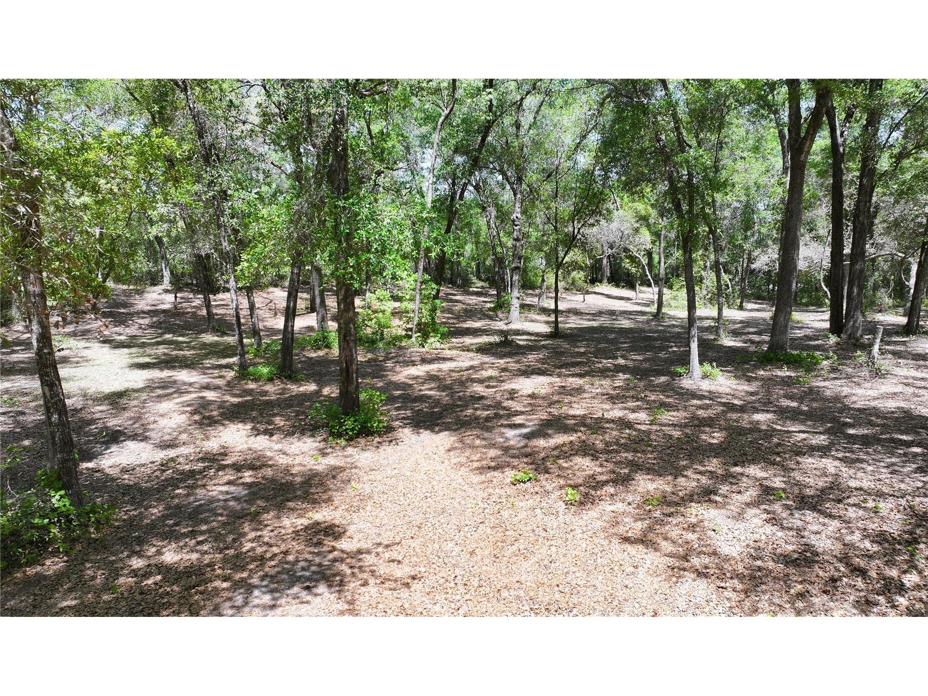 Cypress Street Keystone Heights FL 32656 GC539645 image13