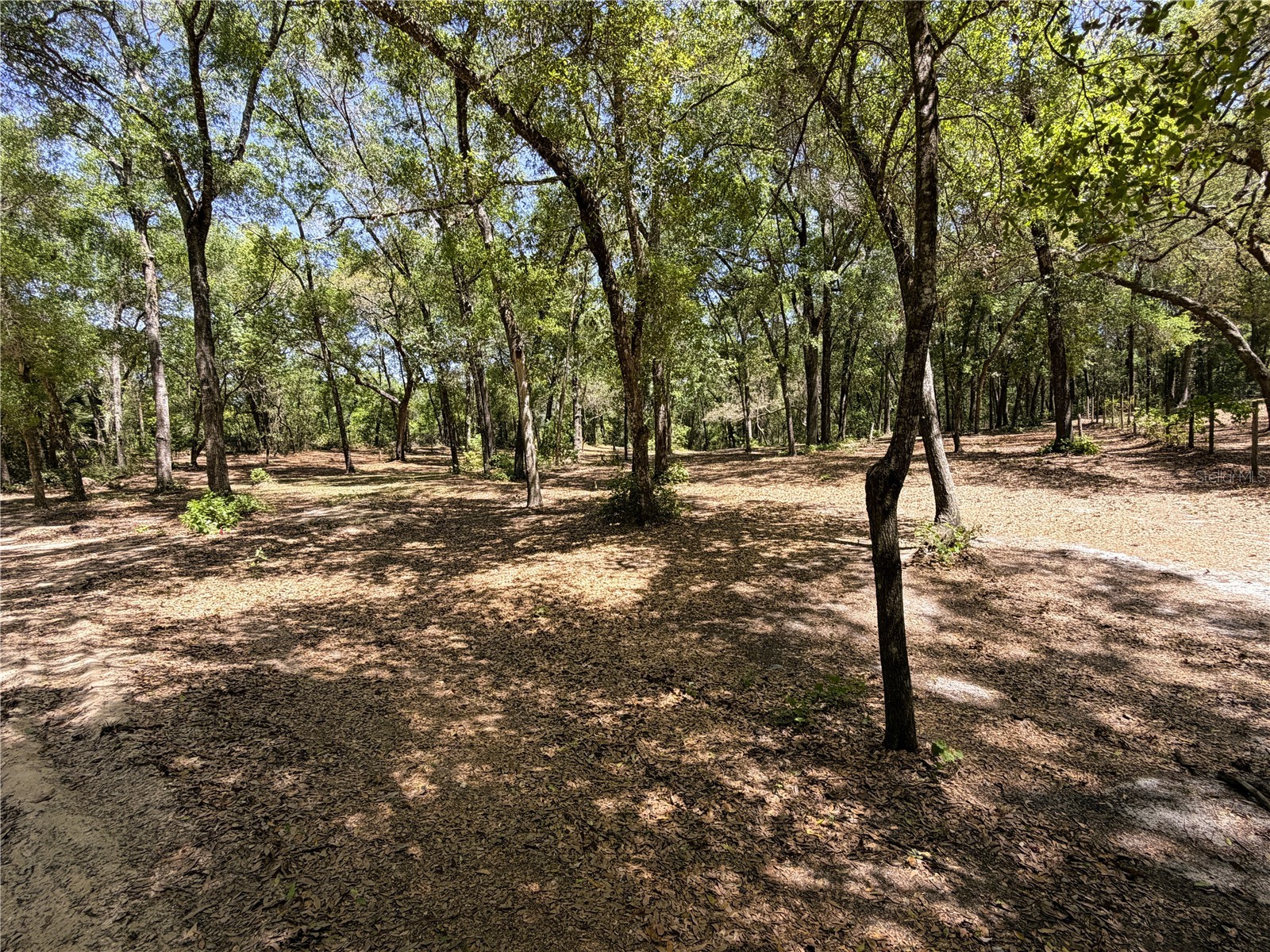 Cypress Street Keystone Heights FL 32656 GC539645 image4