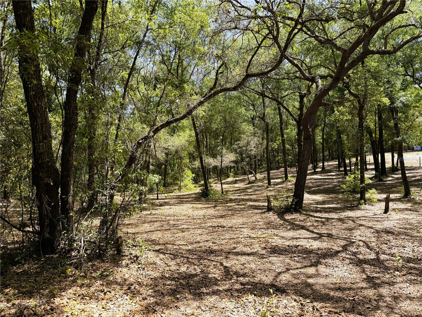 Cypress Street Keystone Heights FL 32656 GC539645 image6