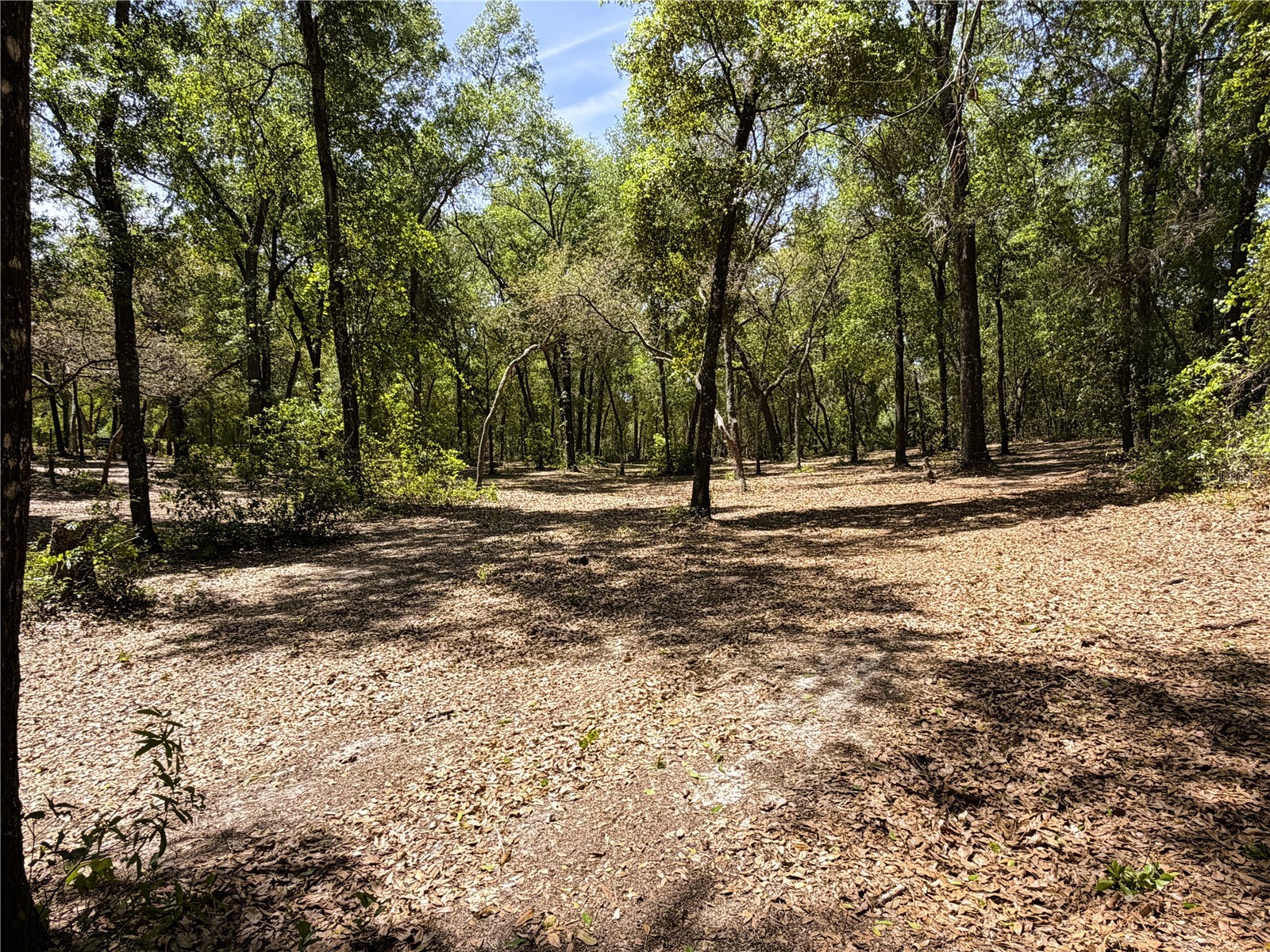 Cypress Street Keystone Heights FL 32656 GC539645 image8