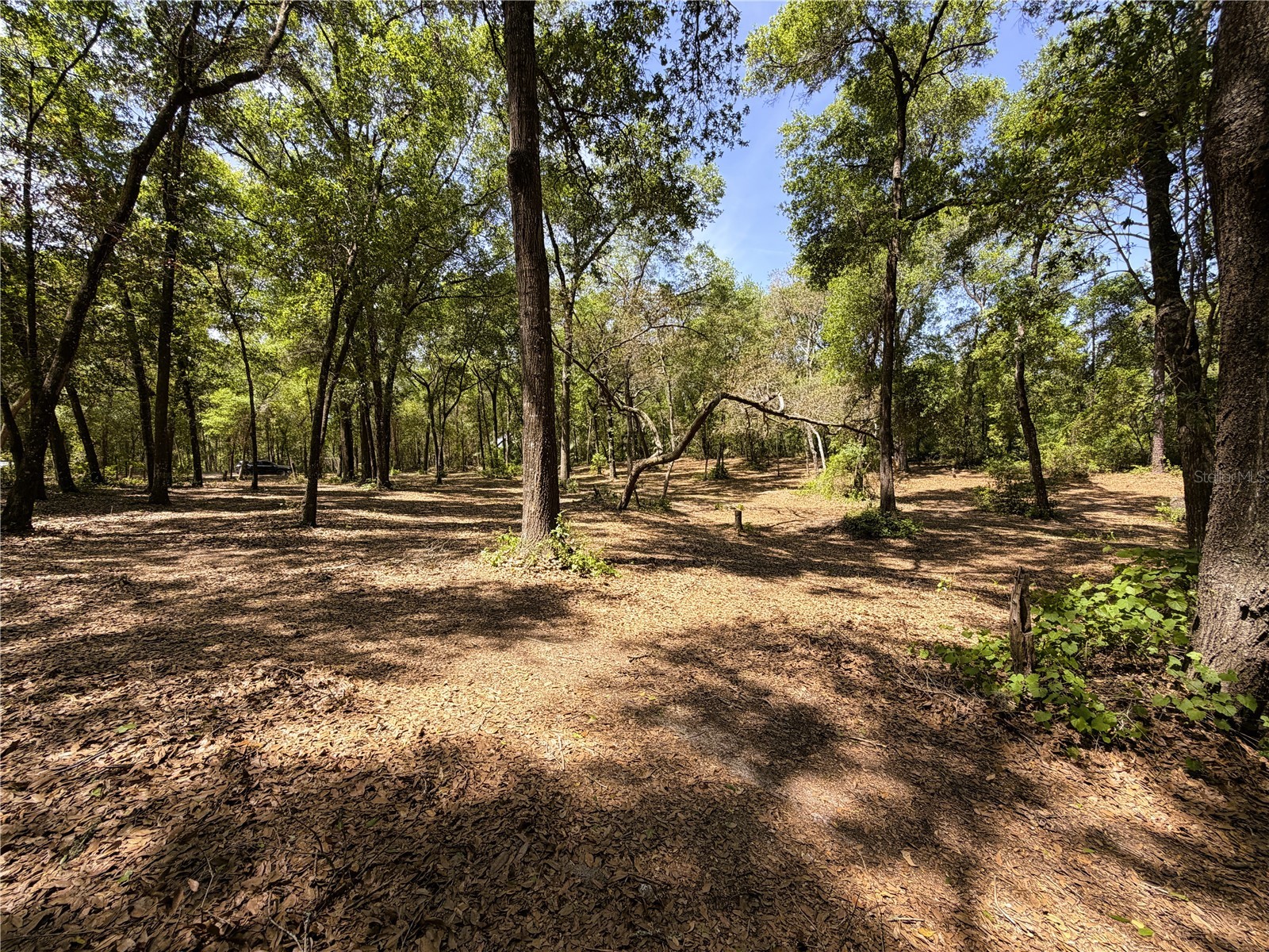 Cypress Street Keystone Heights FL 32656 GC539645 image9