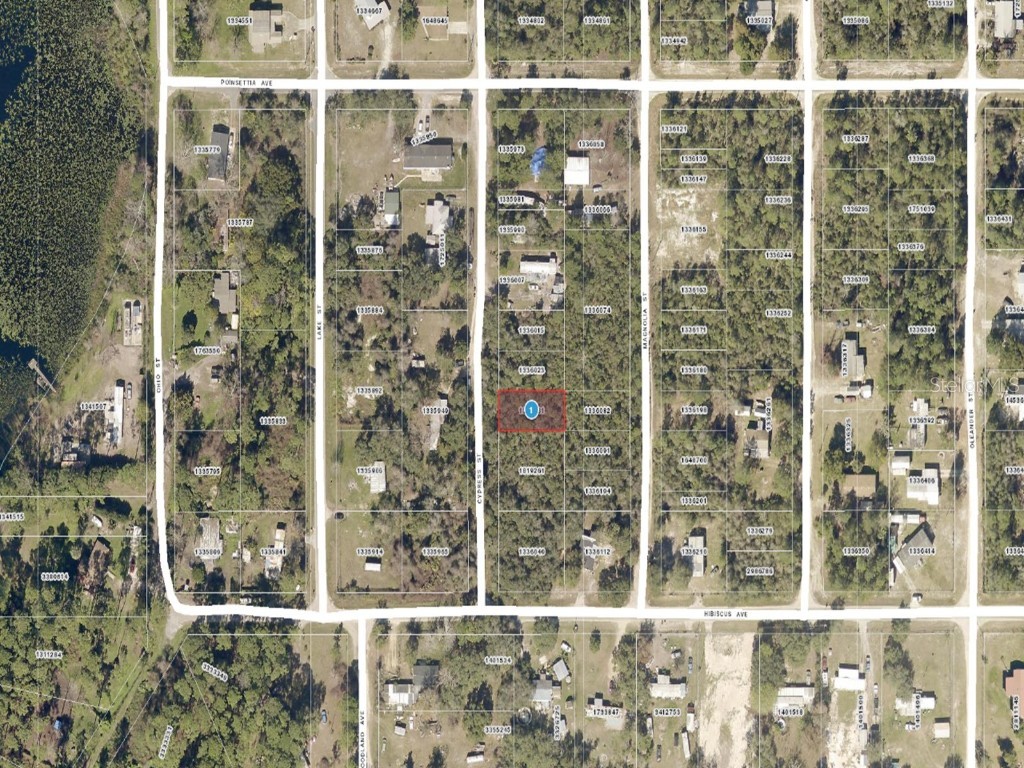 Cypress Street #LOT 15 & 16 Paisley FL 32767 U8197360 image1