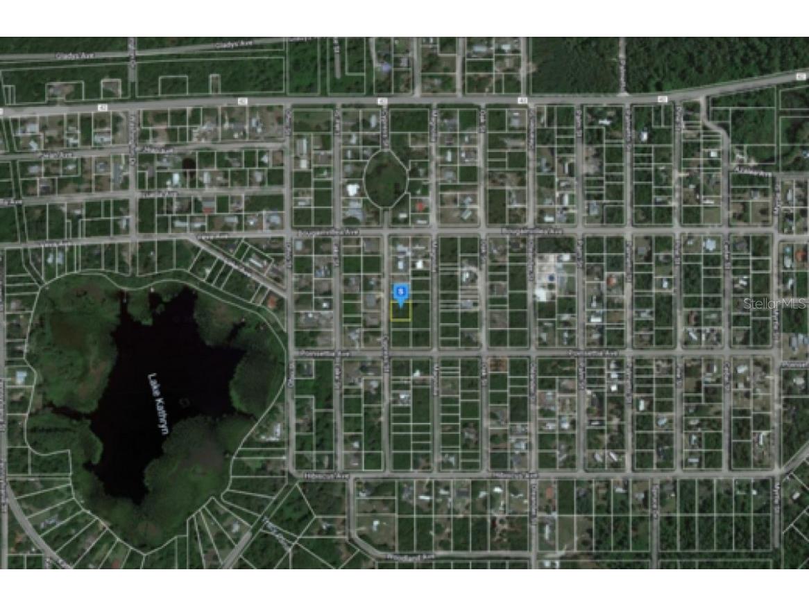 Cypress Street Paisley FL 32767 A4609020 image1