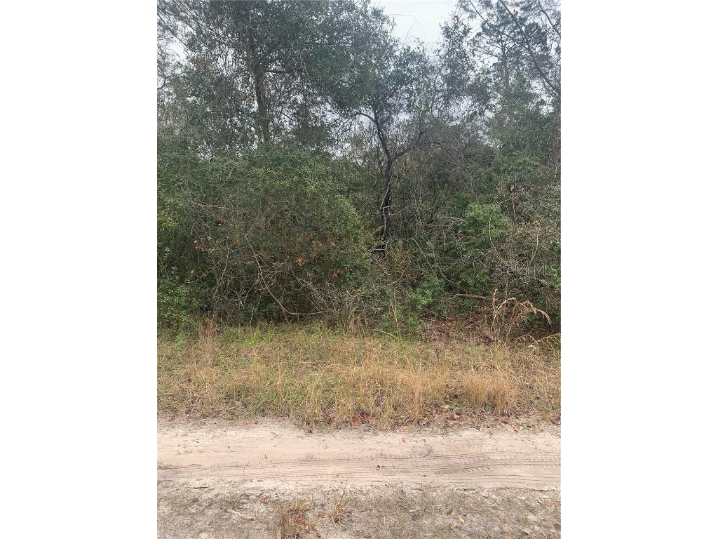 Cypress Street Paisley FL 32767 V4934227 image1