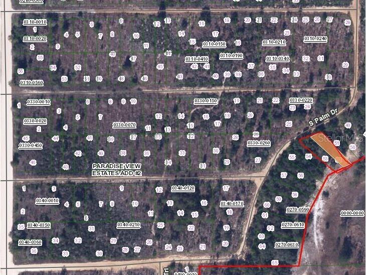 00 Cypress Trail Interlachen FL 32148 OM653000 image2