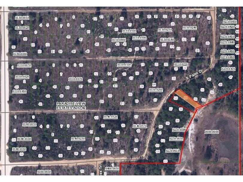 00 Cypress Trail Interlachen FL 32148 OM653002 image2