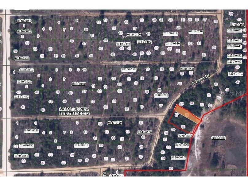 00 Cypress Trail Interlachen FL 32148 OM654624 image2