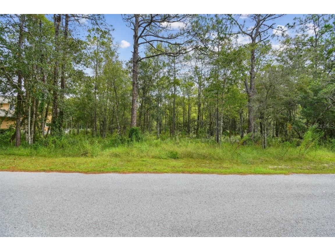 Cypress Trail Tarpon Springs FL 34688 U8212825 image1