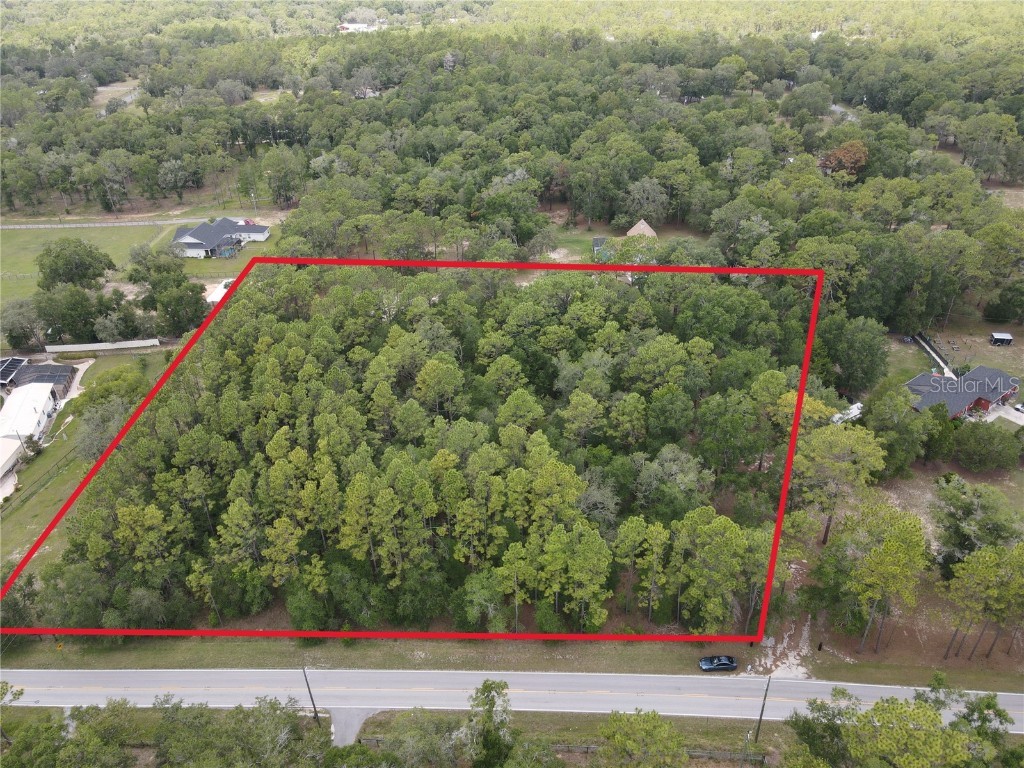 Cyrano Avenue Brooksville FL 34601 W7878003 image1